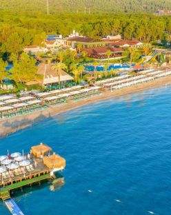 GYPSOPHILA CLUB MARINE